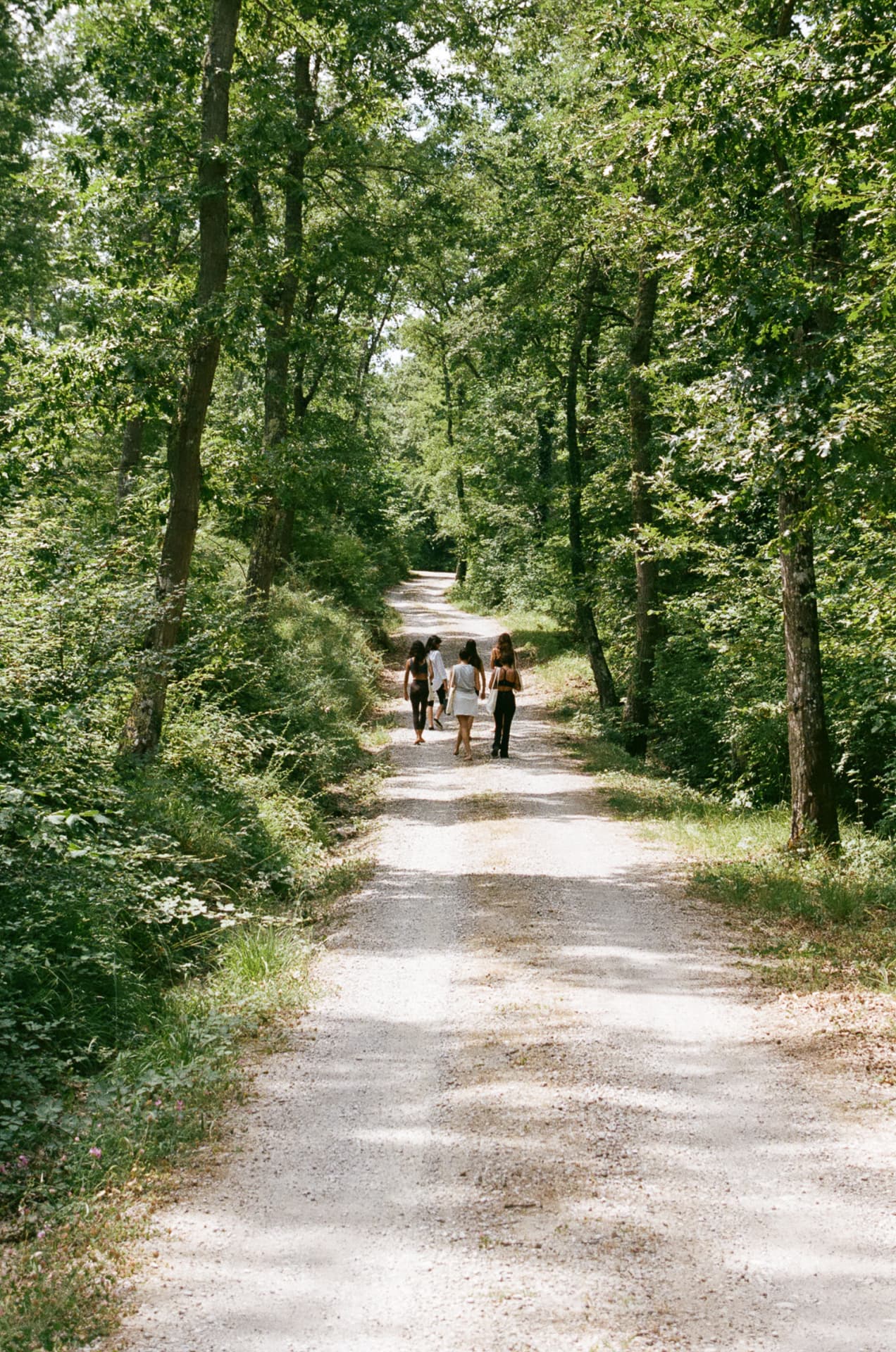 A group walking together along a sunlit forest path during a Happy Om retreat